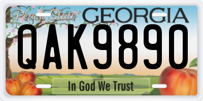 GA license plate QAK9890