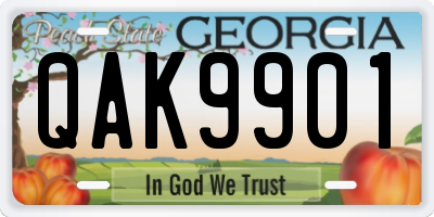 GA license plate QAK9901