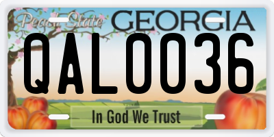 GA license plate QAL0036