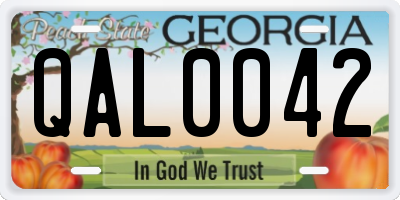 GA license plate QAL0042