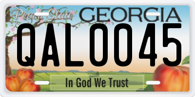 GA license plate QAL0045
