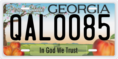 GA license plate QAL0085