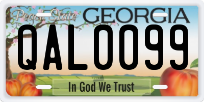 GA license plate QAL0099