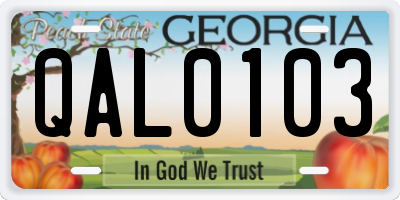 GA license plate QAL0103