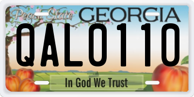 GA license plate QAL0110