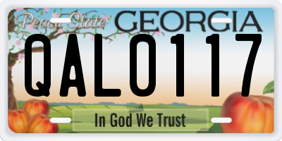GA license plate QAL0117