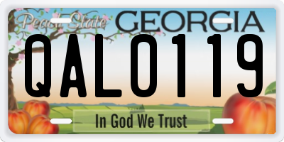 GA license plate QAL0119