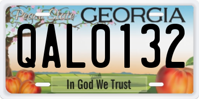 GA license plate QAL0132