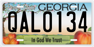 GA license plate QAL0134