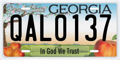 GA license plate QAL0137