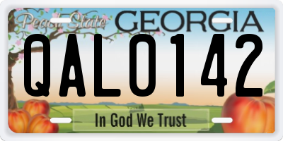 GA license plate QAL0142