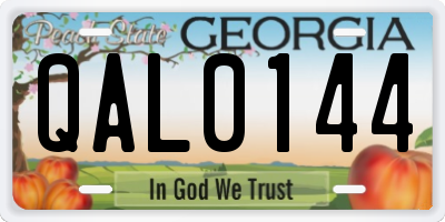 GA license plate QAL0144