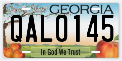 GA license plate QAL0145