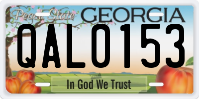 GA license plate QAL0153