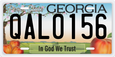 GA license plate QAL0156