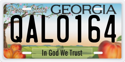 GA license plate QAL0164
