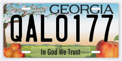 GA license plate QAL0177