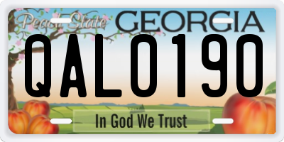GA license plate QAL0190