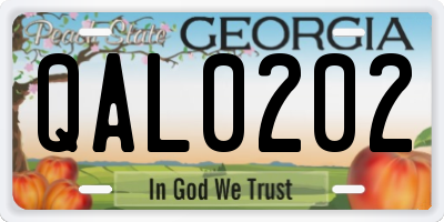 GA license plate QAL0202