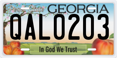 GA license plate QAL0203