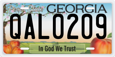 GA license plate QAL0209