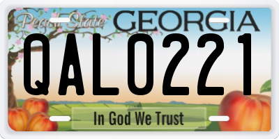 GA license plate QAL0221