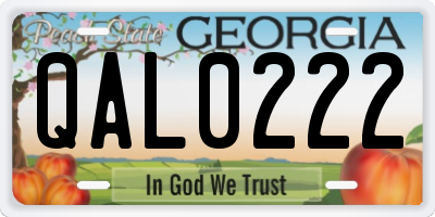 GA license plate QAL0222