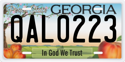 GA license plate QAL0223