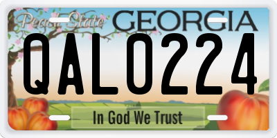 GA license plate QAL0224