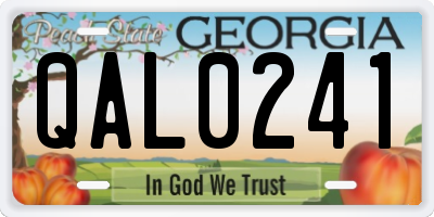 GA license plate QAL0241