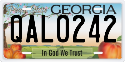 GA license plate QAL0242