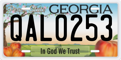 GA license plate QAL0253