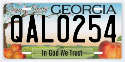 GA license plate QAL0254