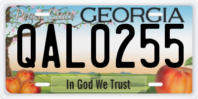 GA license plate QAL0255