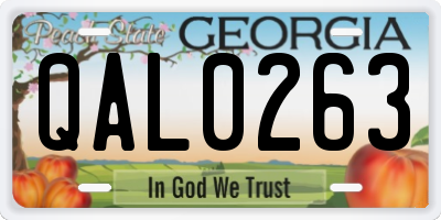 GA license plate QAL0263