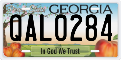 GA license plate QAL0284