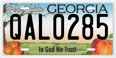GA license plate QAL0285