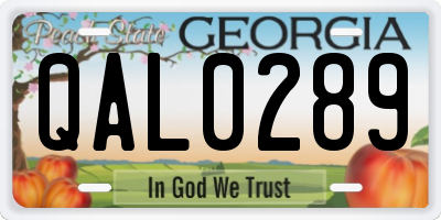 GA license plate QAL0289
