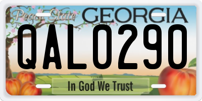 GA license plate QAL0290