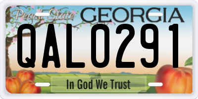 GA license plate QAL0291