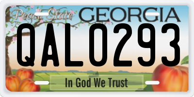 GA license plate QAL0293