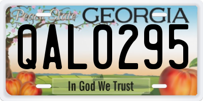 GA license plate QAL0295