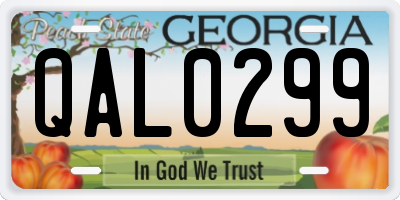 GA license plate QAL0299