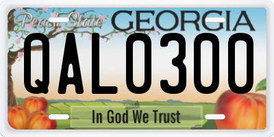 GA license plate QAL0300