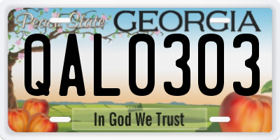 GA license plate QAL0303
