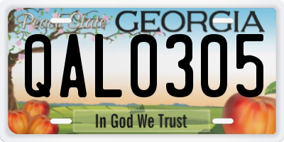 GA license plate QAL0305