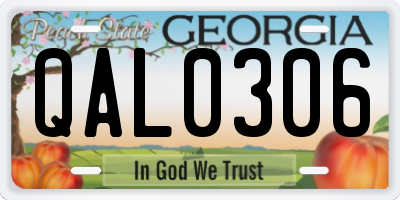 GA license plate QAL0306