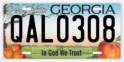 GA license plate QAL0308