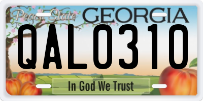 GA license plate QAL0310