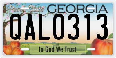 GA license plate QAL0313